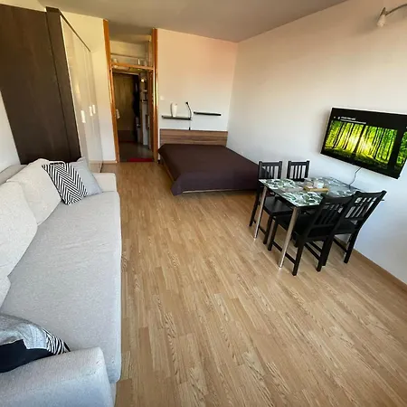 In Center Apartman *