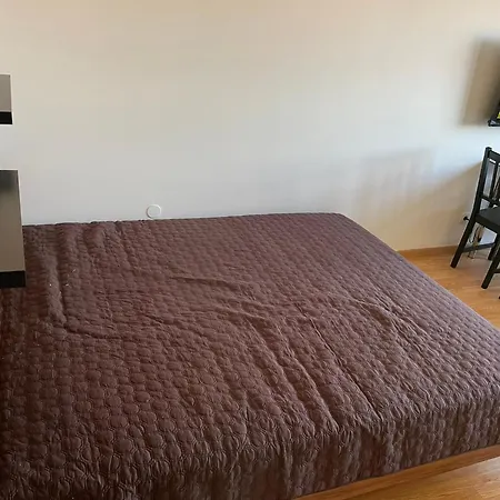 Apartment In Center Ljubljana